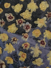 Chimonanthus praecox (North Augusta strain)